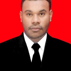 FERY BERTUS AYAMISEBA