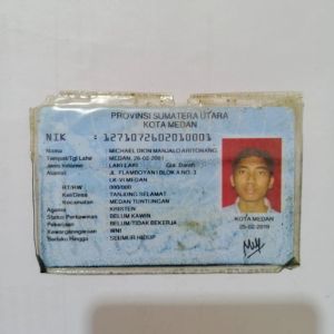 Michael Dion M. Aritonang