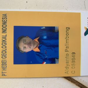 ALDYANTO PALIMBONG
