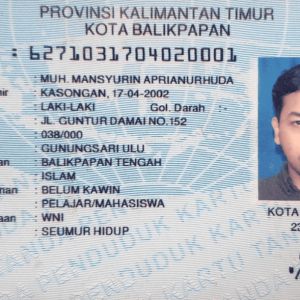 Muh. Mansyurin Aprianurhuda