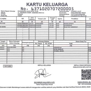 Muhammad Aulia Rifki