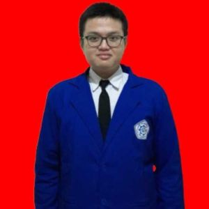 Muhammad Helmi Salim