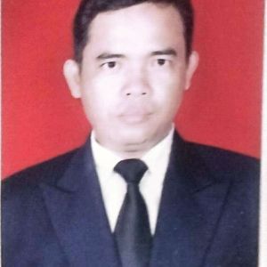 Turis wibowo