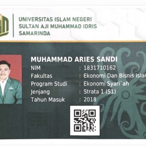 Muhammad Aries Sandi
