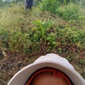 Dwi Umardani