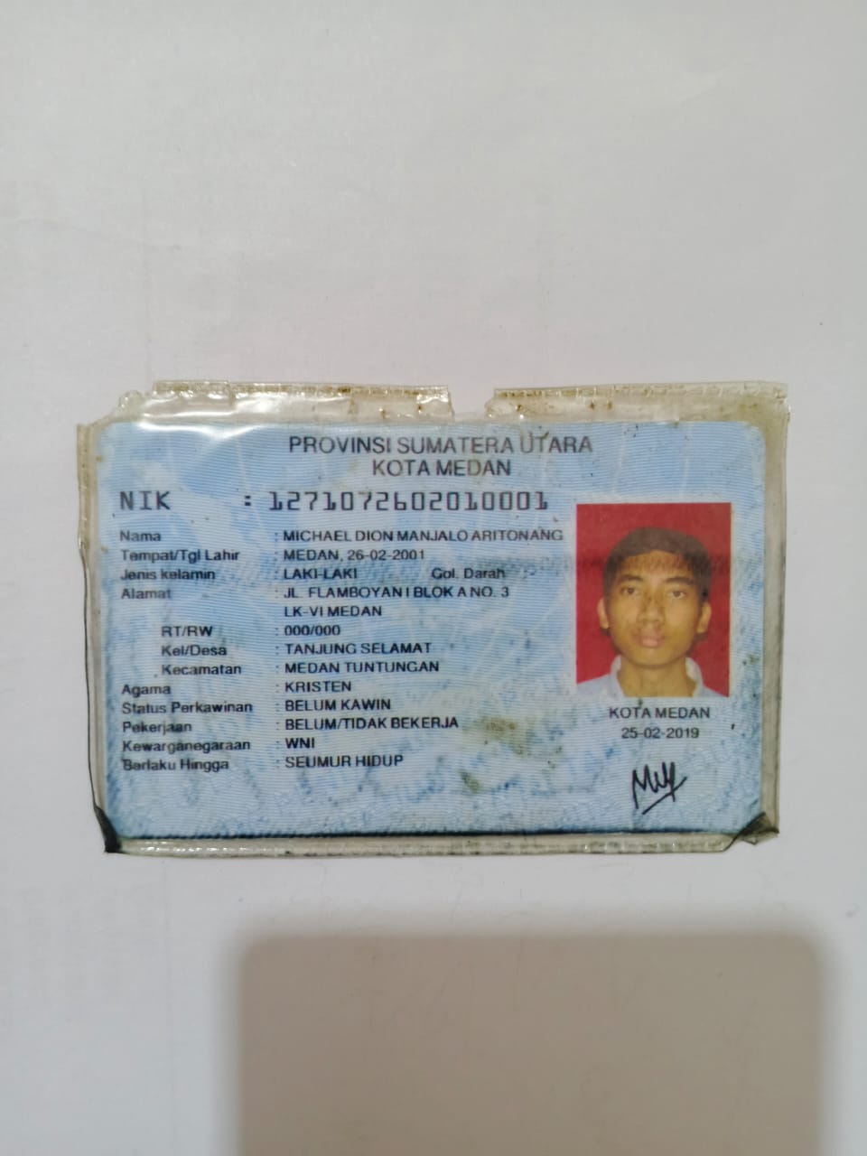 Michael Dion M. Aritonang